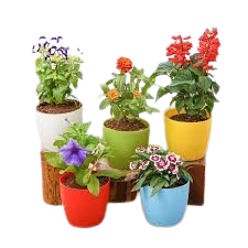 download__15_-removebg-preview