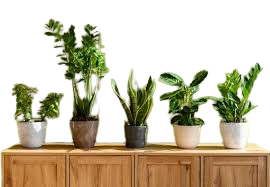 download__16_-removebg-preview