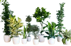 download__17_-removebg-preview